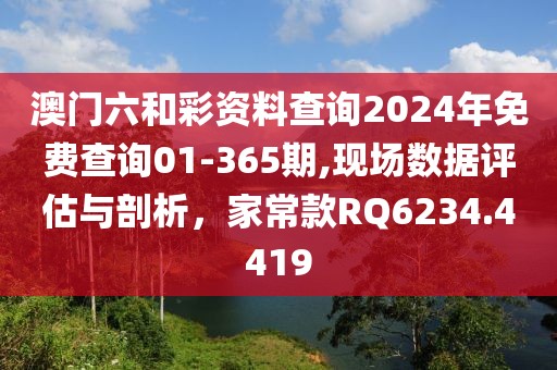 澳门六和彩资料查询2024年免费查询01-365期,现场数据评估与剖析，家常款RQ6234.4419