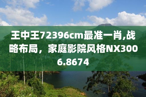 王中王72396cm最准一肖,战略布局，家庭影院风格NX3006.8674
