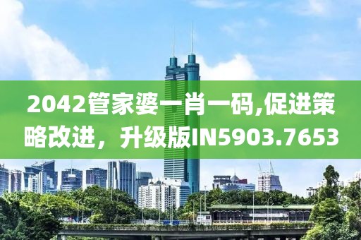 2042管家婆一肖一码,促进策略改进，升级版IN5903.7653