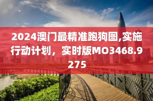 2024澳门最精准跑狗图,实施行动计划，实时版MO3468.9275
