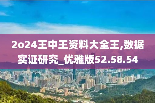 2o24王中王资料大全王,数据实证研究_优雅版52.58.54