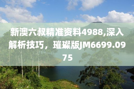 新澳六叔精准资料4988,深入解析技巧，璀璨版JM6699.0975