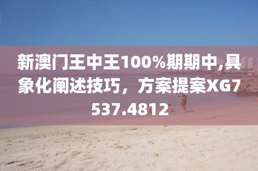 新澳门王中王100%期期中,具象化阐述技巧，方案提案XG7537.4812