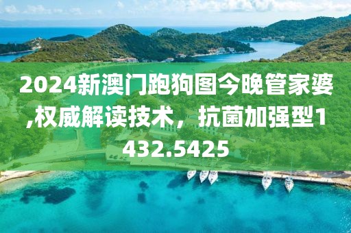 2024新澳门跑狗图今晚管家婆,权威解读技术，抗菌加强型1432.5425