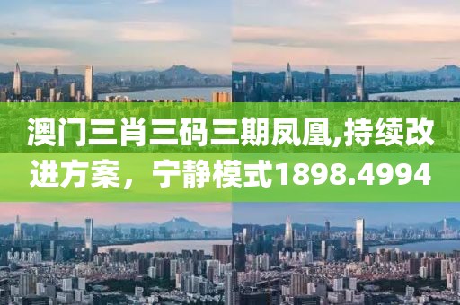 澳门三肖三码三期凤凰,持续改进方案，宁静模式1898.4994