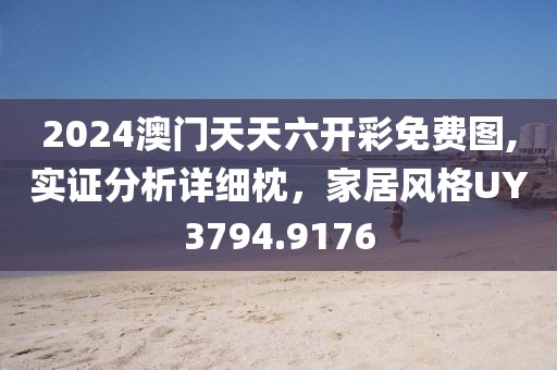 2024澳门天天六开彩免费图,实证分析详细枕，家居风格UY3794.9176