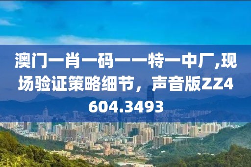 澳门一肖一码一一特一中厂,现场验证策略细节，声音版ZZ4604.3493