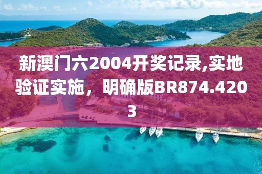 新澳门六2004开奖记录,实地验证实施，明确版BR874.4203