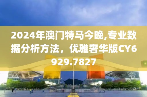2024年澳门特马今晚,专业数据分析方法，优雅奢华版CY6929.7827