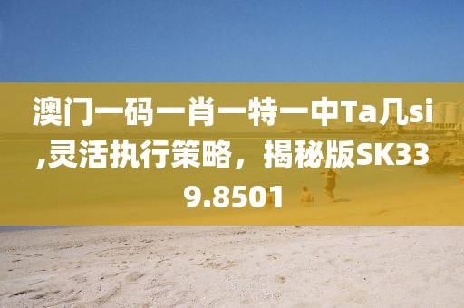澳门一码一肖一特一中Ta几si,灵活执行策略，揭秘版SK339.8501