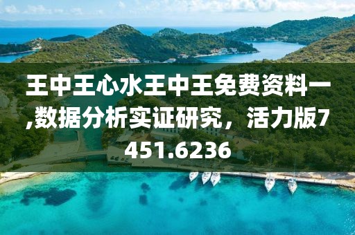 王中王心水王中王免费资料一,数据分析实证研究，活力版7451.6236