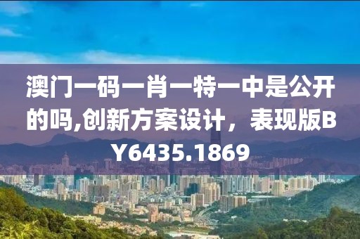 澳门一码一肖一特一中是公开的吗,创新方案设计，表现版BY6435.1869