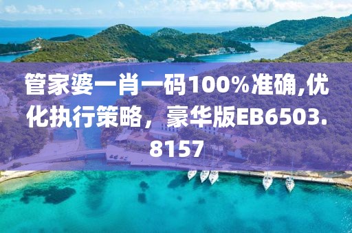 管家婆一肖一码100%准确,优化执行策略，豪华版EB6503.8157