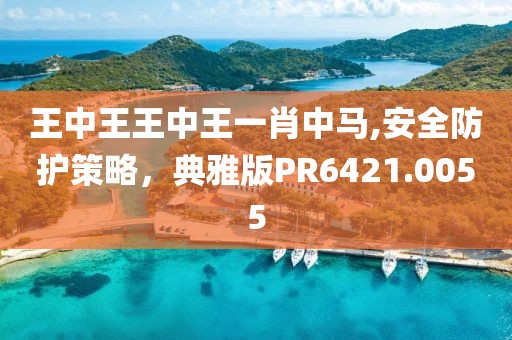 王中王王中王一肖中马,安全防护策略，典雅版PR6421.0055