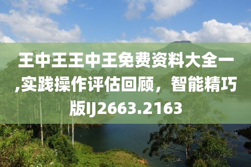 王中王王中王免费资料大全一,实践操作评估回顾，智能精巧版IJ2663.2163