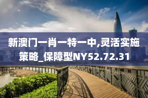 新澳门一肖一特一中,灵活实施策略_保障型NY52.72.31