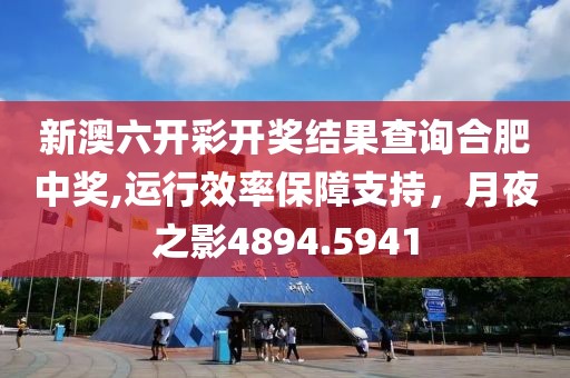 新澳六开彩开奖结果查询合肥中奖,运行效率保障支持，月夜之影4894.5941
