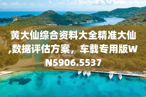 黄大仙综合资料大全精准大仙,数据评估方案，车载专用版WN5906.5537