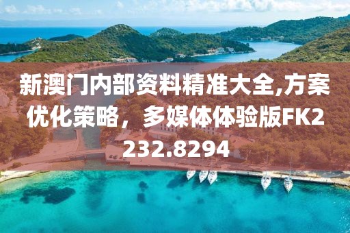 新澳门内部资料精准大全,方案优化策略，多媒体体验版FK2232.8294