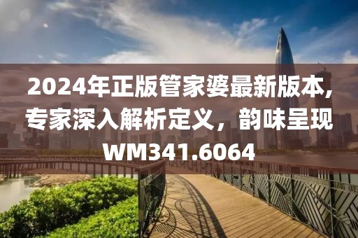 2024年正版管家婆最新版本,专家深入解析定义，韵味呈现WM341.6064