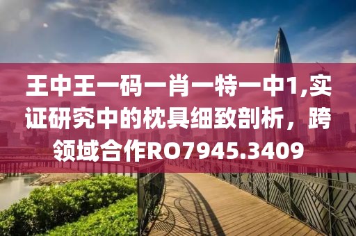 王中王一码一肖一特一中1,实证研究中的枕具细致剖析，跨领域合作RO7945.3409