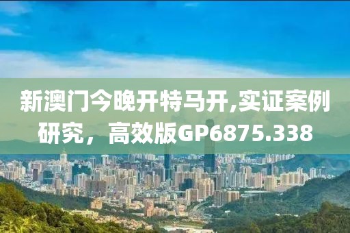新澳门今晚开特马开,实证案例研究，高效版GP6875.338