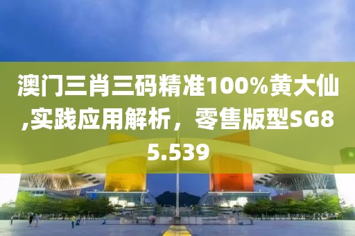 澳门三肖三码精准100%黄大仙,实践应用解析，零售版型SG85.539