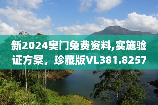 新2024奥门兔费资料,实施验证方案，珍藏版VL381.8257