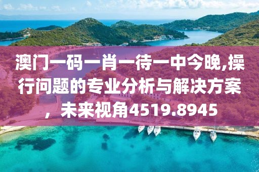 澳门一码一肖一待一中今晚,操行问题的专业分析与解决方案，未来视角4519.8945