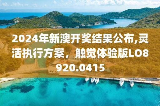 2024年新澳开奖结果公布,灵活执行方案，触觉体验版LO8920.0415