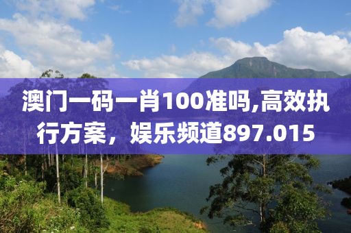 澳门一码一肖100准吗,高效执行方案，娱乐频道897.015