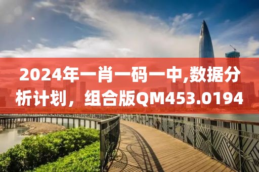2024年一肖一码一中,数据分析计划，组合版QM453.0194