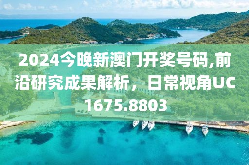 2024今晚新澳门开奖号码,前沿研究成果解析，日常视角UC1675.8803