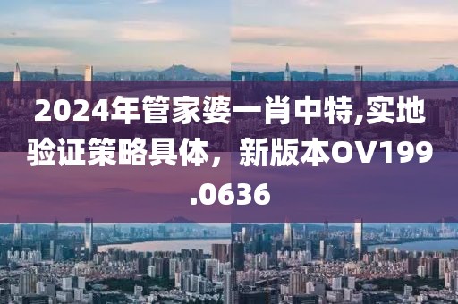 2024年管家婆一肖中特,实地验证策略具体，新版本OV199.0636