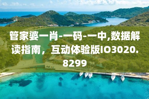 管家婆一肖-一码-一中,数据解读指南，互动体验版IO3020.8299