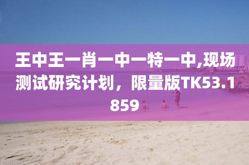 王中王一肖一中一特一中,现场测试研究计划，限量版TK53.1859