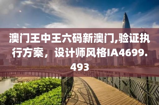 澳门王中王六码新澳门,验证执行方案，设计师风格IA4699.493