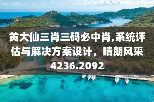黄大仙三肖三码必中肖,系统评估与解决方案设计，晴朗风采4236.2092