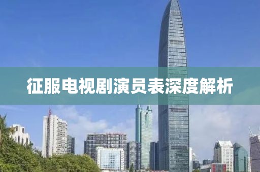 征服电视剧演员表深度解析