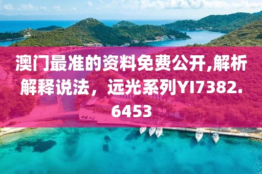 澳门最准的资料免费公开,解析解释说法，远光系列YI7382.6453