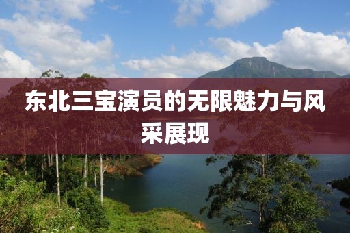 东北三宝演员的无限魅力与风采展现