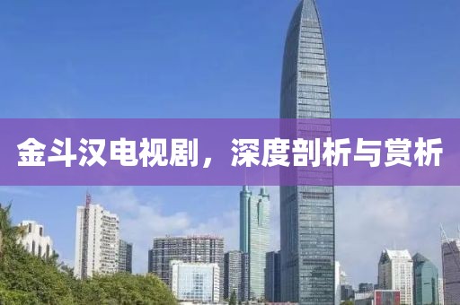 金斗汉电视剧，深度剖析与赏析