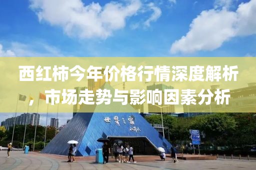 西红柿今年价格行情深度解析，市场走势与影响因素分析