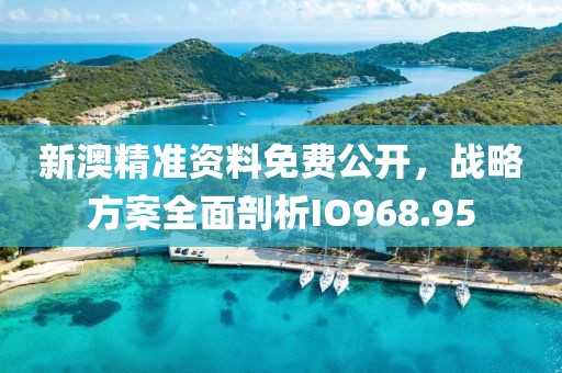 新澳精准资料免费公开，战略方案全面剖析IO968.95