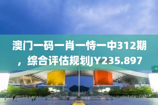 澳门一码一肖一恃一中312期，综合评估规划JY235.897