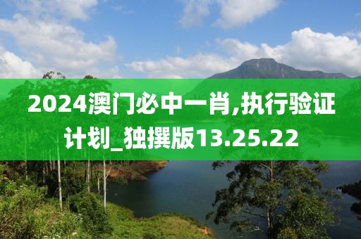 2024澳门必中一肖,执行验证计划_独撰版13.25.22
