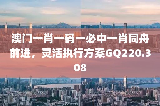澳门一肖一码一必中一肖同舟前进，灵活执行方案GQ220.308