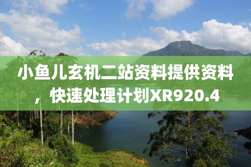 小鱼儿玄机二站资料提供资料，快速处理计划XR920.4