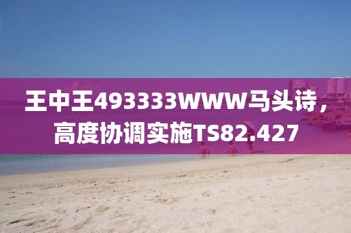 王中王493333WWW马头诗，高度协调实施TS82.427
