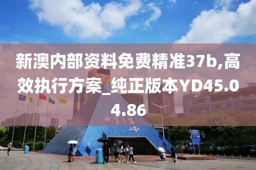 新澳内部资料免费精准37b,高效执行方案_纯正版本YD45.04.86